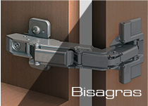Bisagras